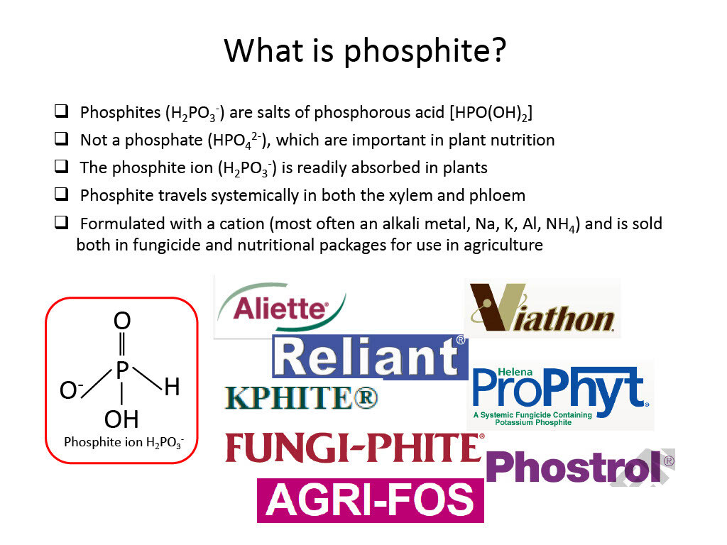 Fosphite (JH Biotech)