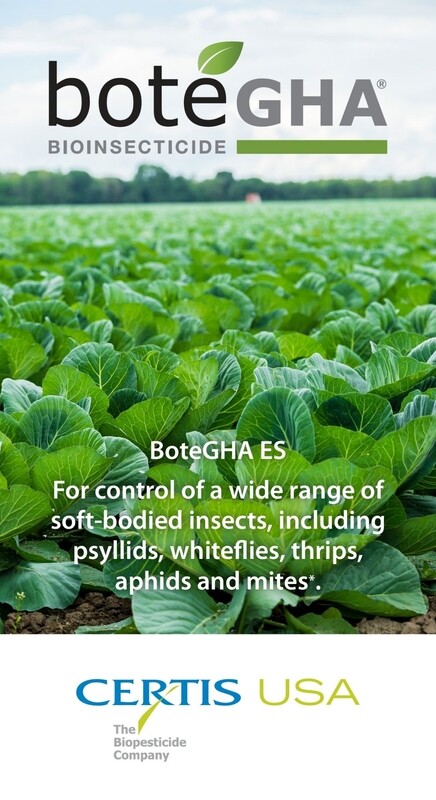 BoteGHA Biological Insecticide