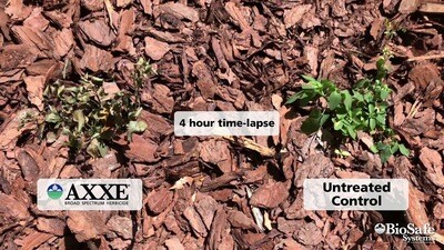 Axxe Herbicide