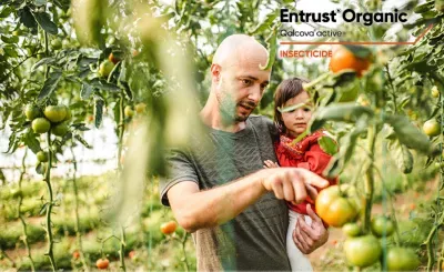 Entrust Naturalyte Insect Control