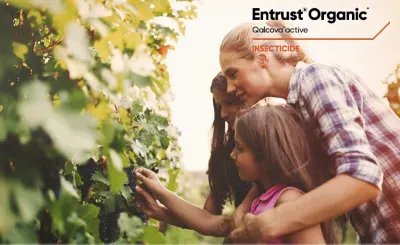 Entrust Naturalyte Insect Control