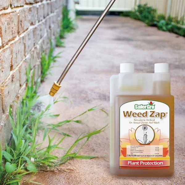Weed Zap