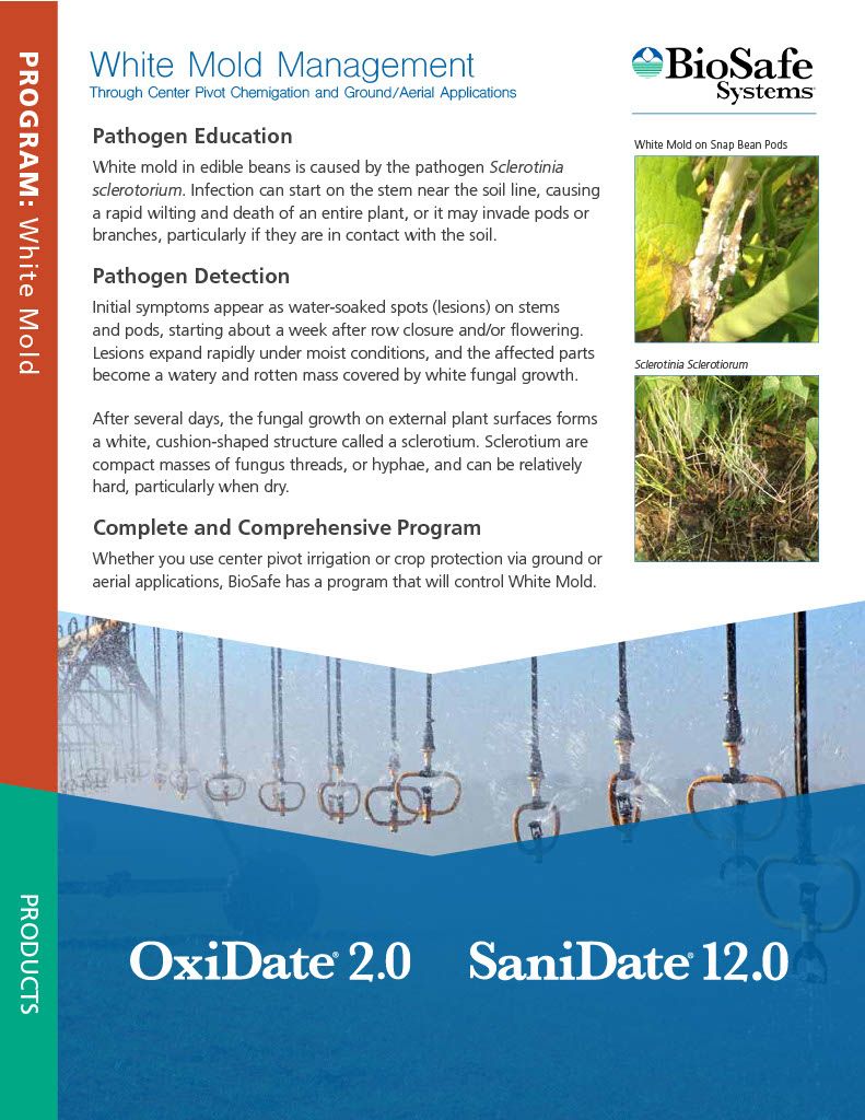Sanidate 12.0