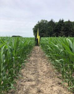 Trivolt Herbicide