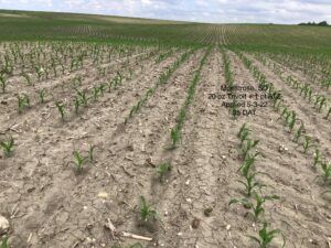 Trivolt Herbicide
