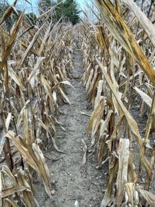 Trivolt Herbicide