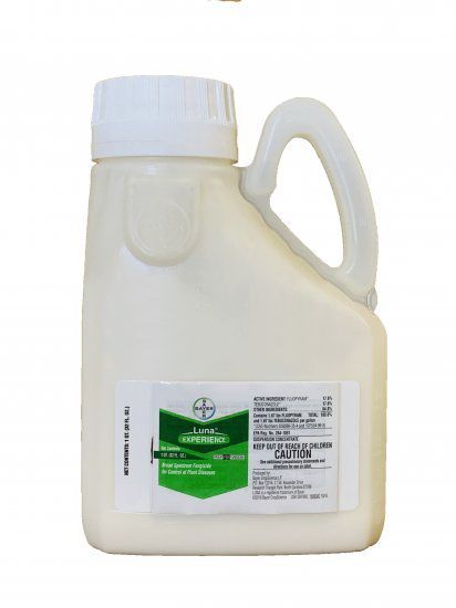 Luna Fungicides