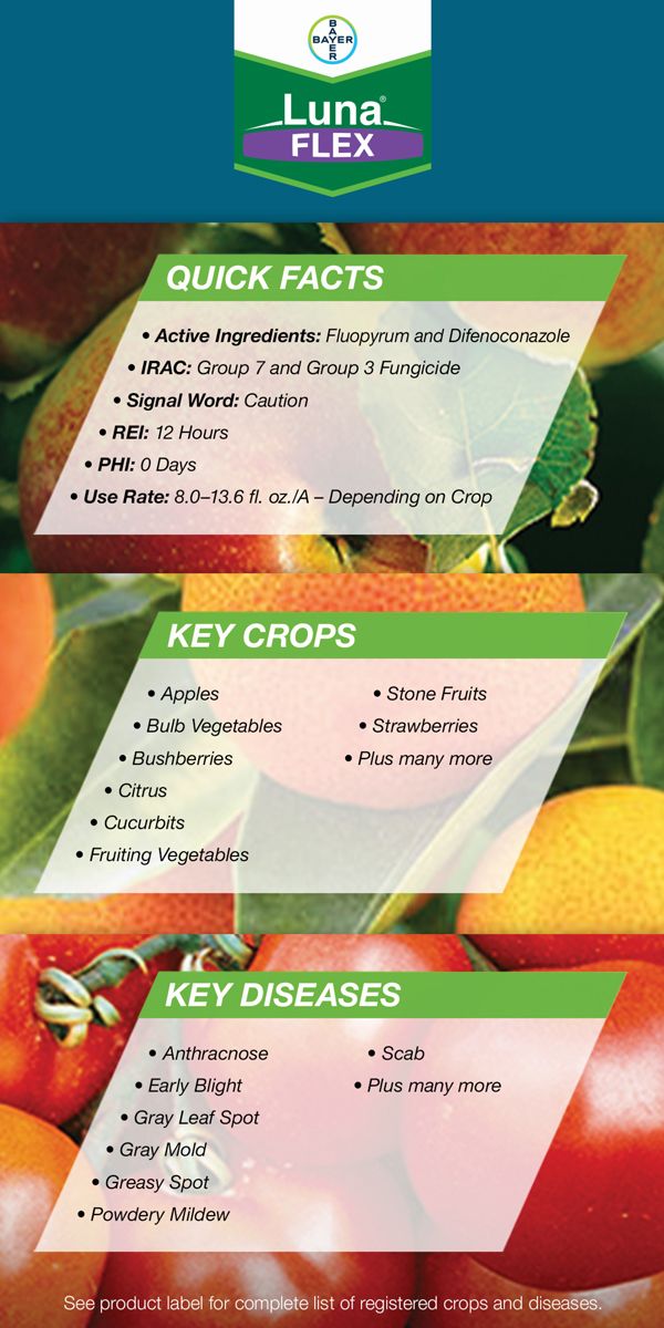 Luna Fungicides