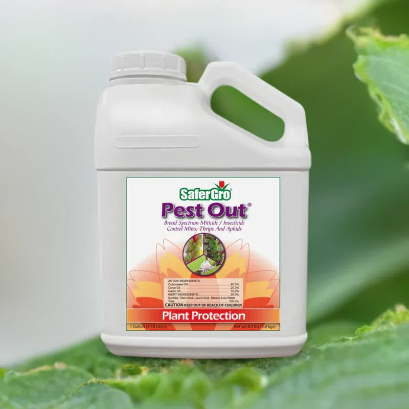 Pest Out