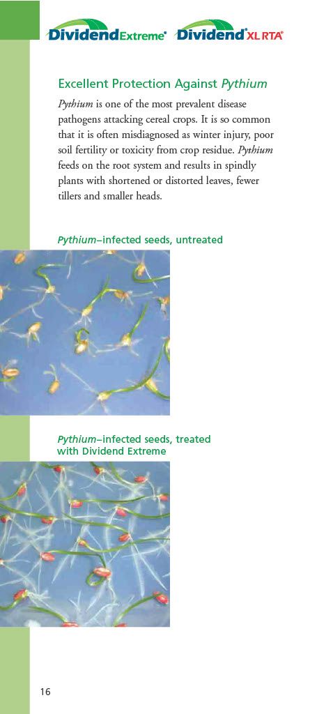 Dividend Extreme (Syngenta)