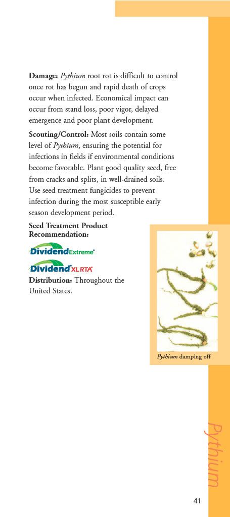 Dividend Extreme (Syngenta)
