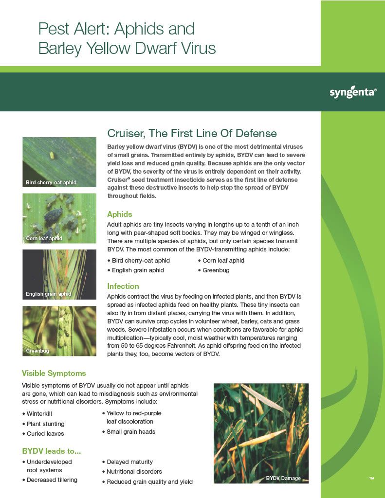 Dividend Extreme (Syngenta)