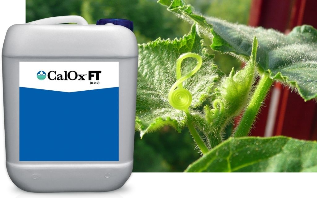CalOx FT