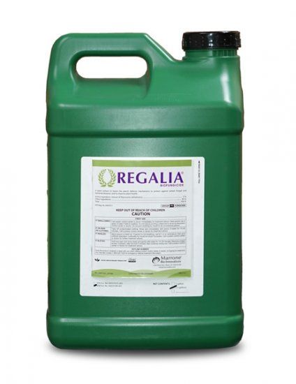 Regalia CG