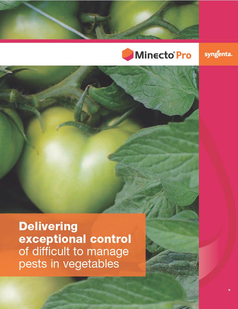 Minecto Pro (Syngenta)