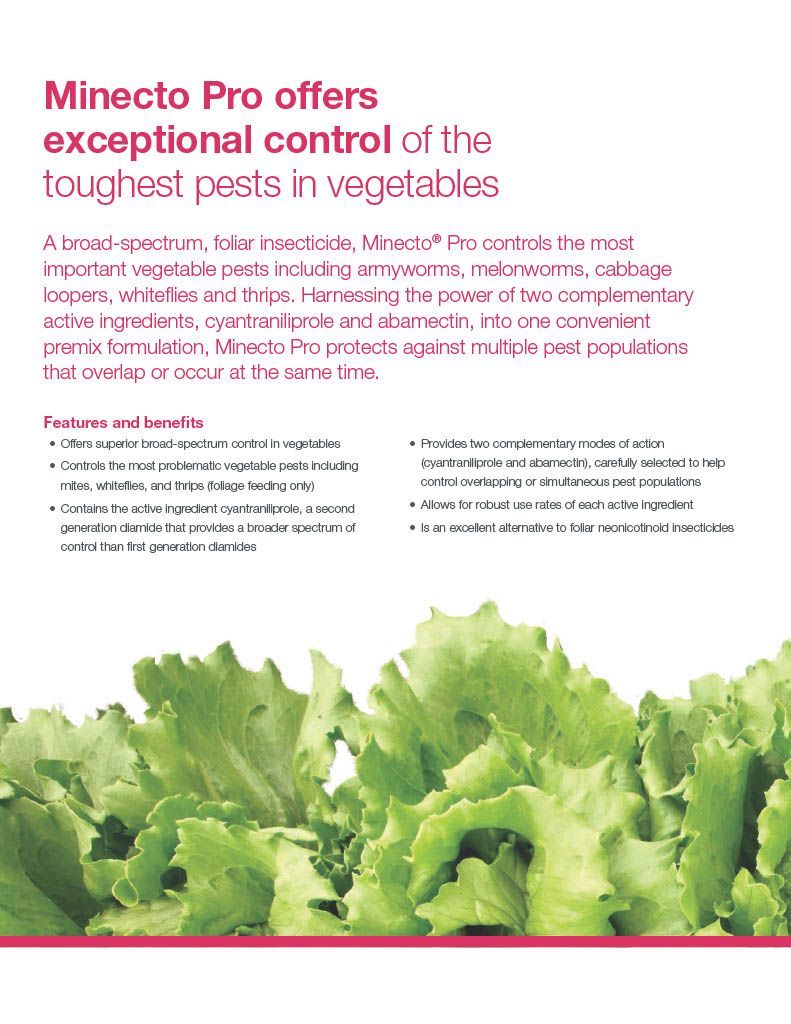 Minecto Pro (Syngenta)