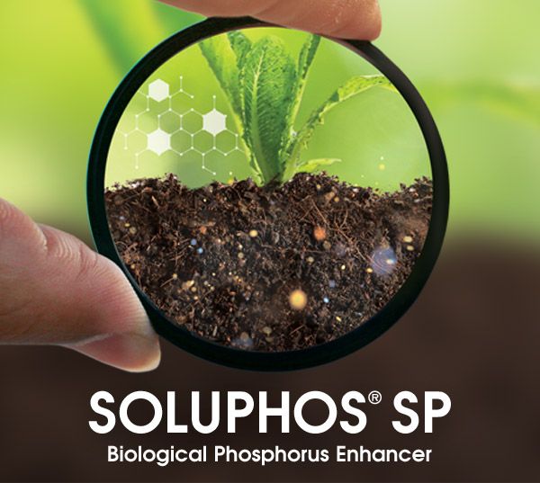 Soluphos SP