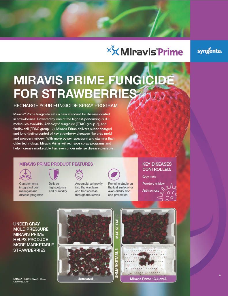 Miravis Prime (Syngenta)