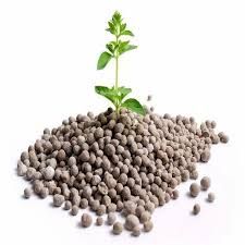 Seed Treatment