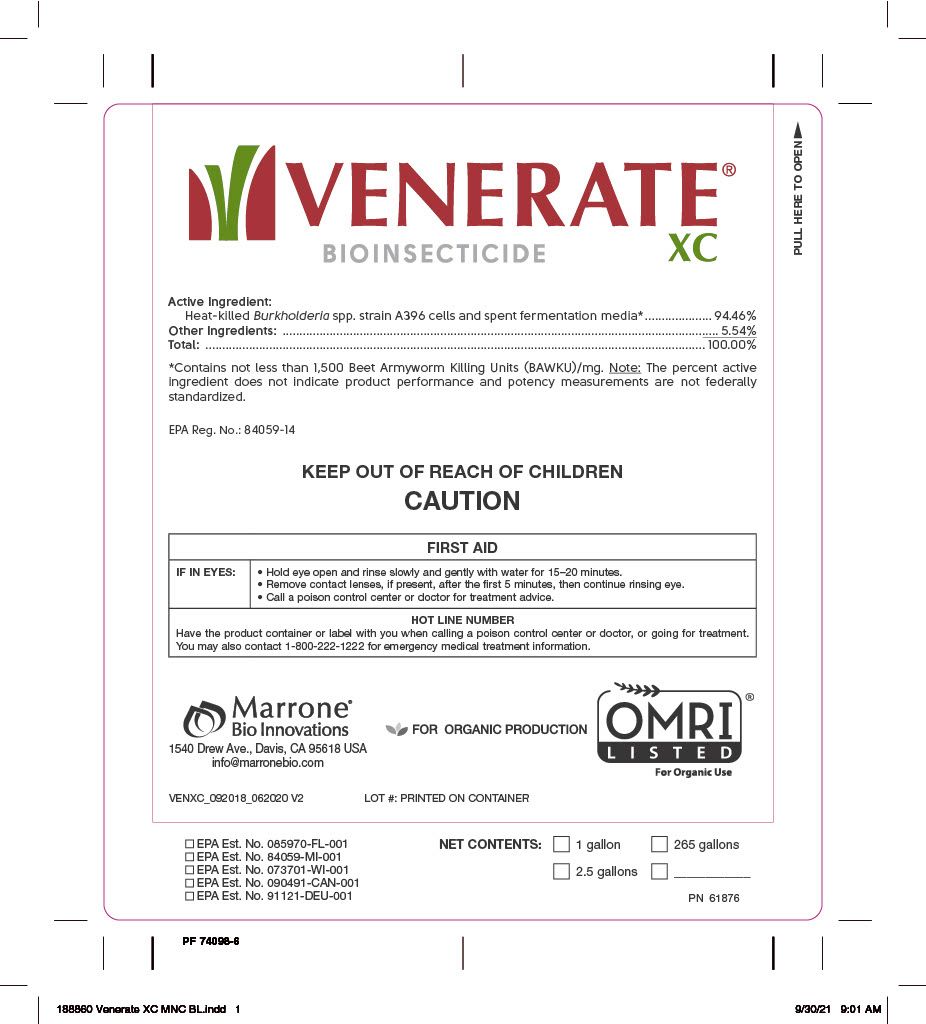 Venerate XC/CG
