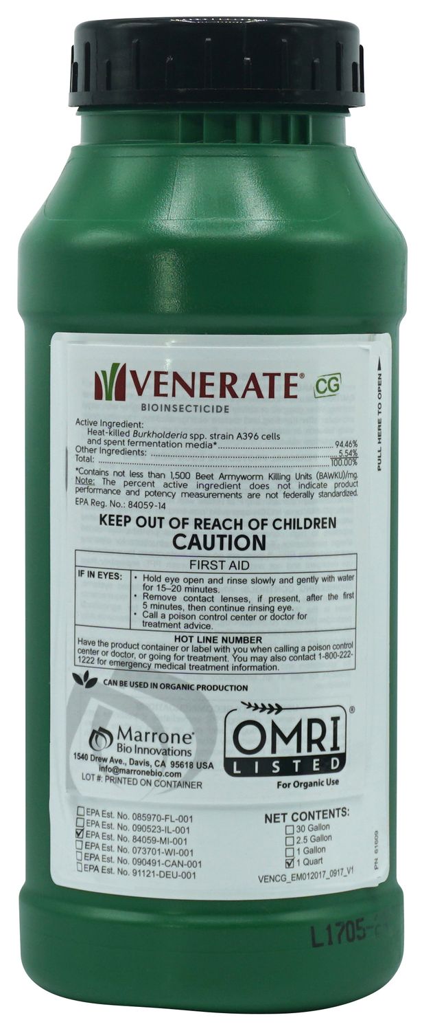 Venerate XC/CG
