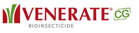 Venerate XC/CG