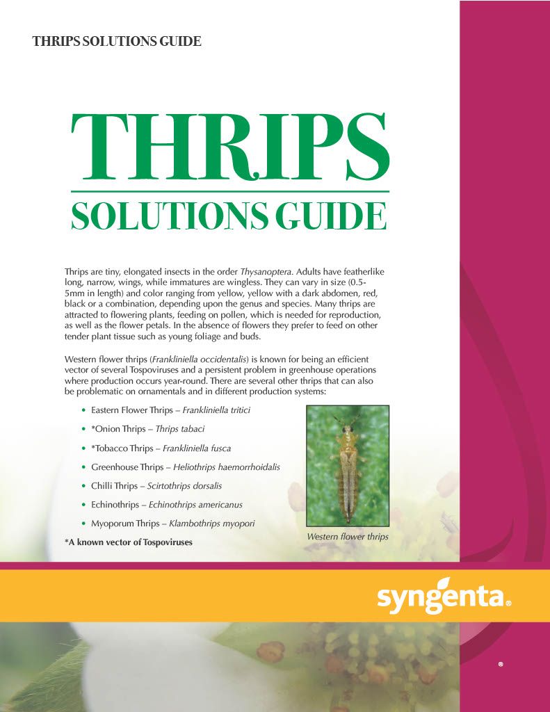 Avid .15 EC (Syngenta)