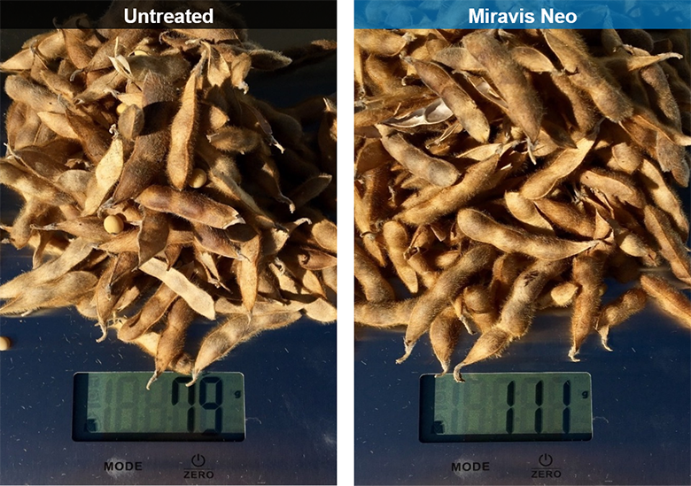 Miravis Neo (Syngenta)