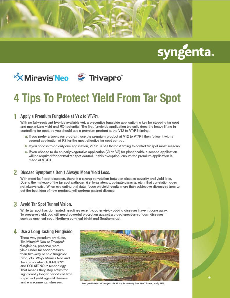 Miravis Neo (Syngenta)