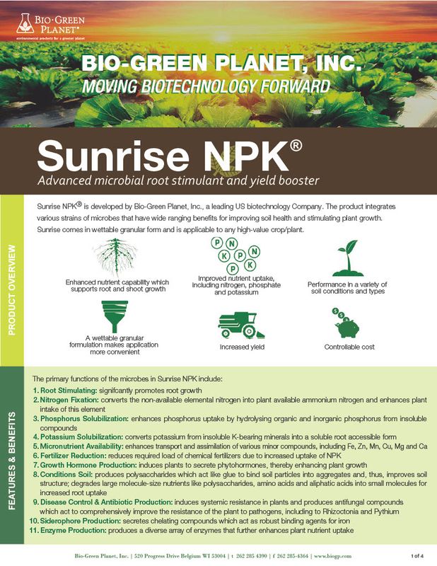 Sunrise (Bio-Green Planet)