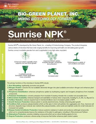 Sunrise (Bio-Green Planet)