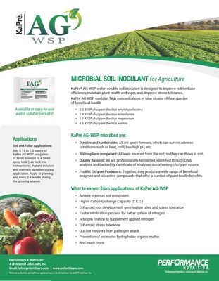 KaPre AG-WSP