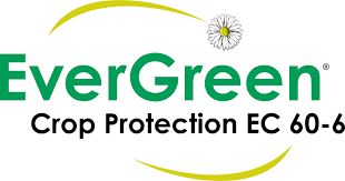 Evergreen 60-6