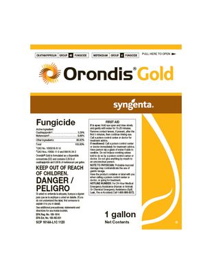 Orondis Gold