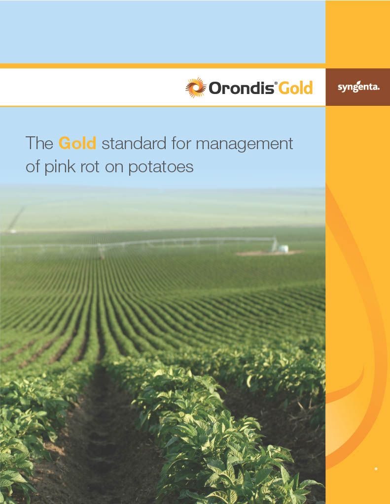 Orondis Gold