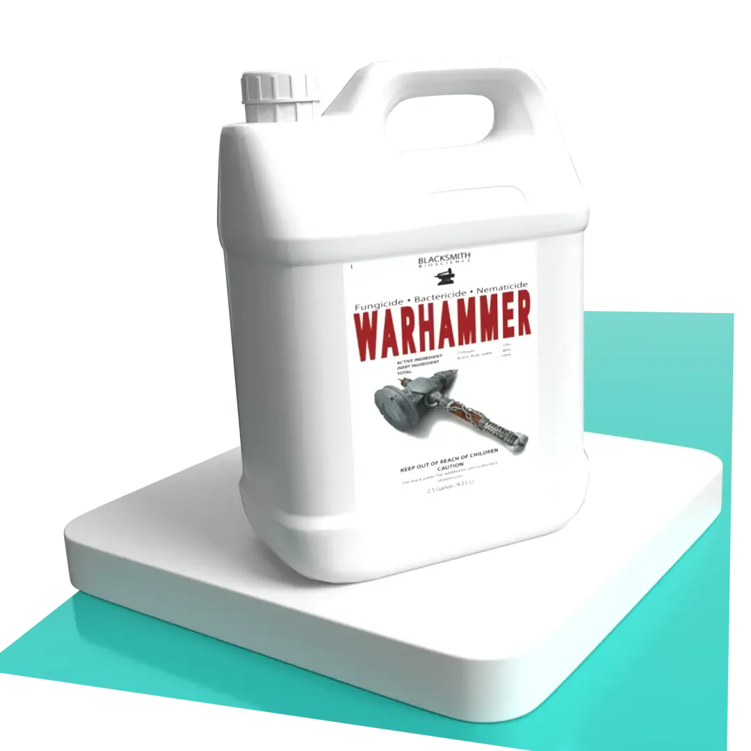 Warhammer