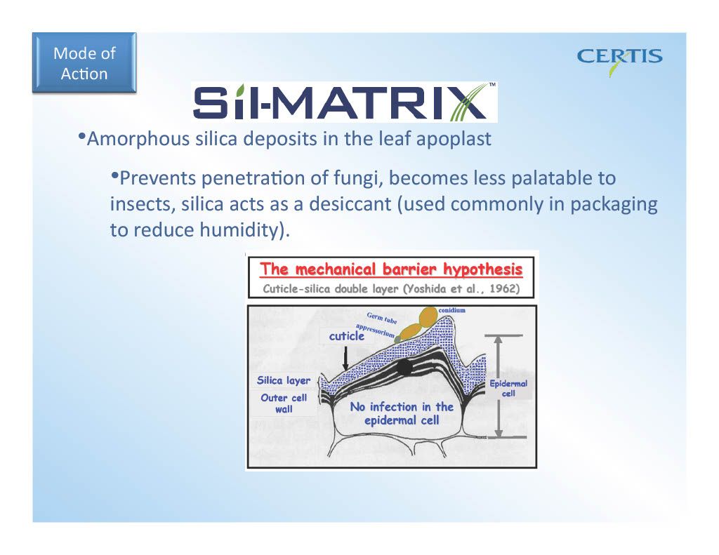 Sil-Matrix (Certis)