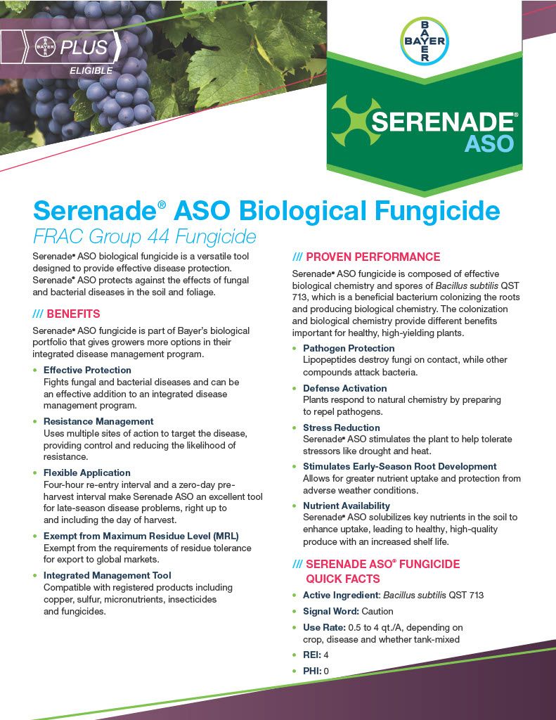 Serenade ASO