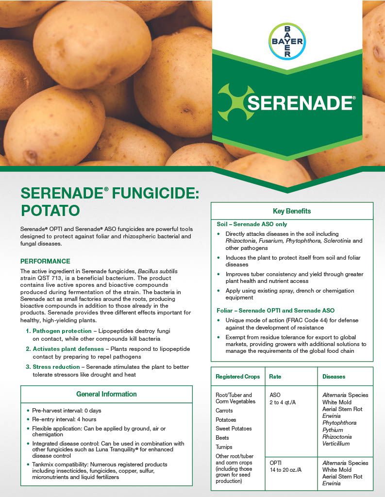 Serenade ASO