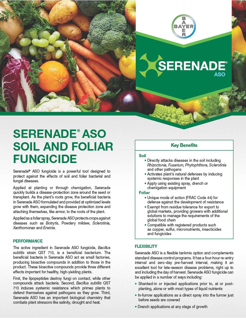 Serenade ASO