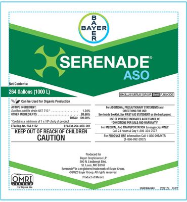 Serenade ASO