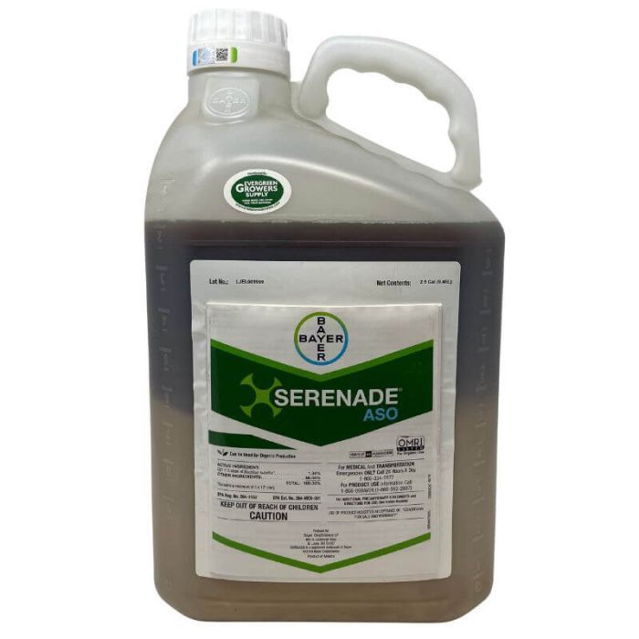 Serenade ASO