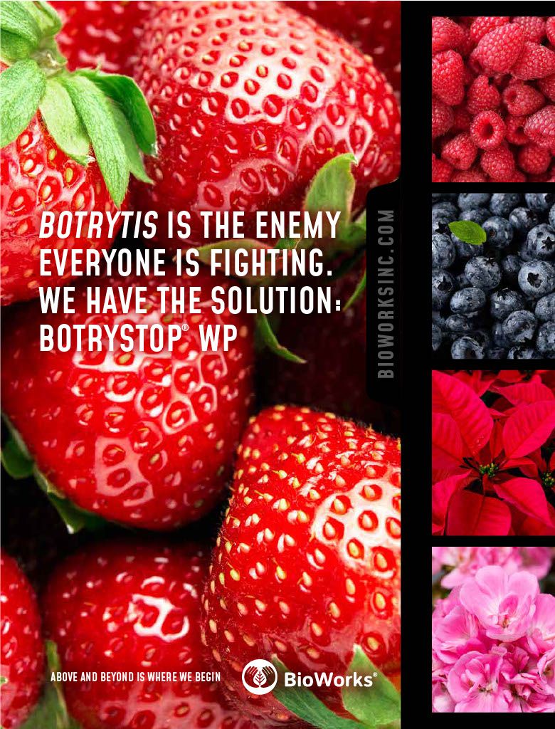 Botrystop WP
