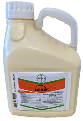 Laudis (Bayer Crop Sciences)