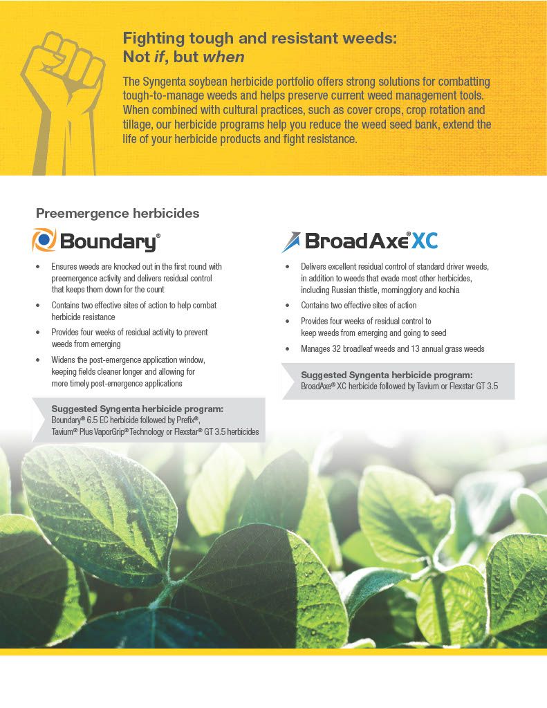 BroadAxe XC (Syngenta)
