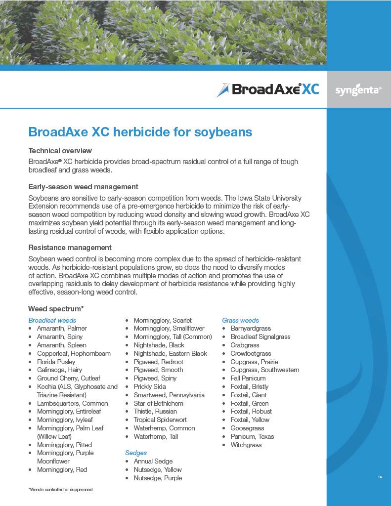 BroadAxe XC (Syngenta)