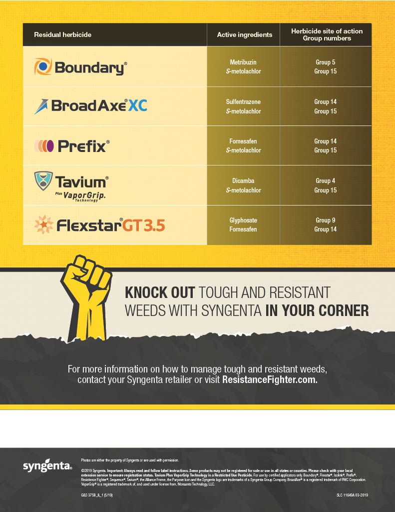BroadAxe XC (Syngenta)