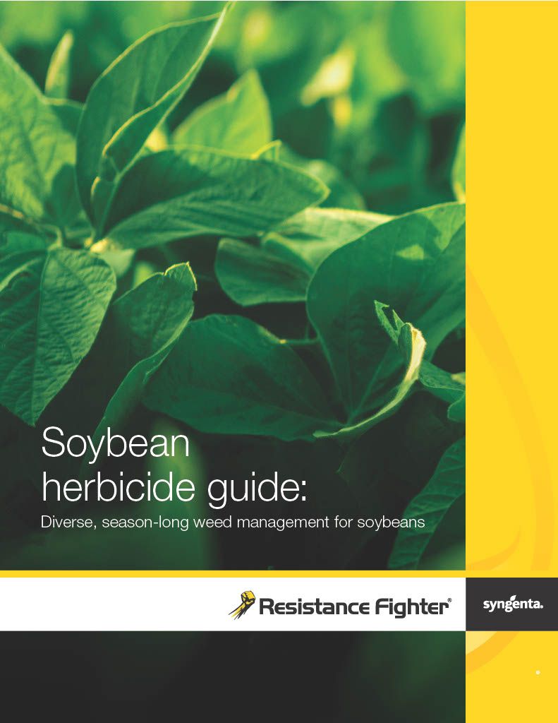 BroadAxe XC (Syngenta)