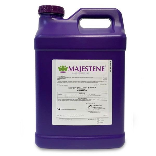Majestene