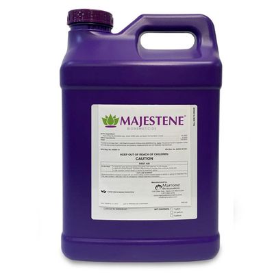 Majestene